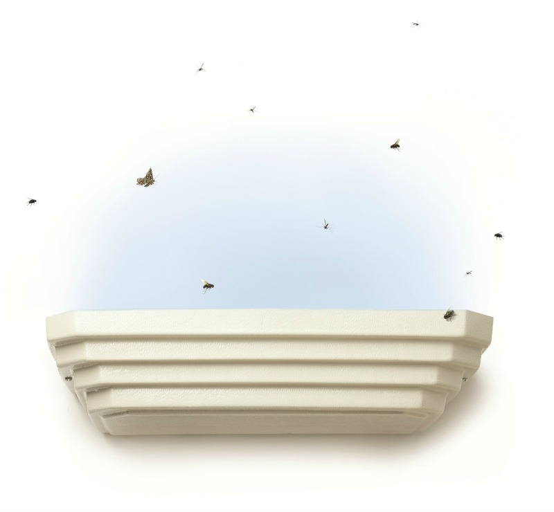 Flying insect traps
