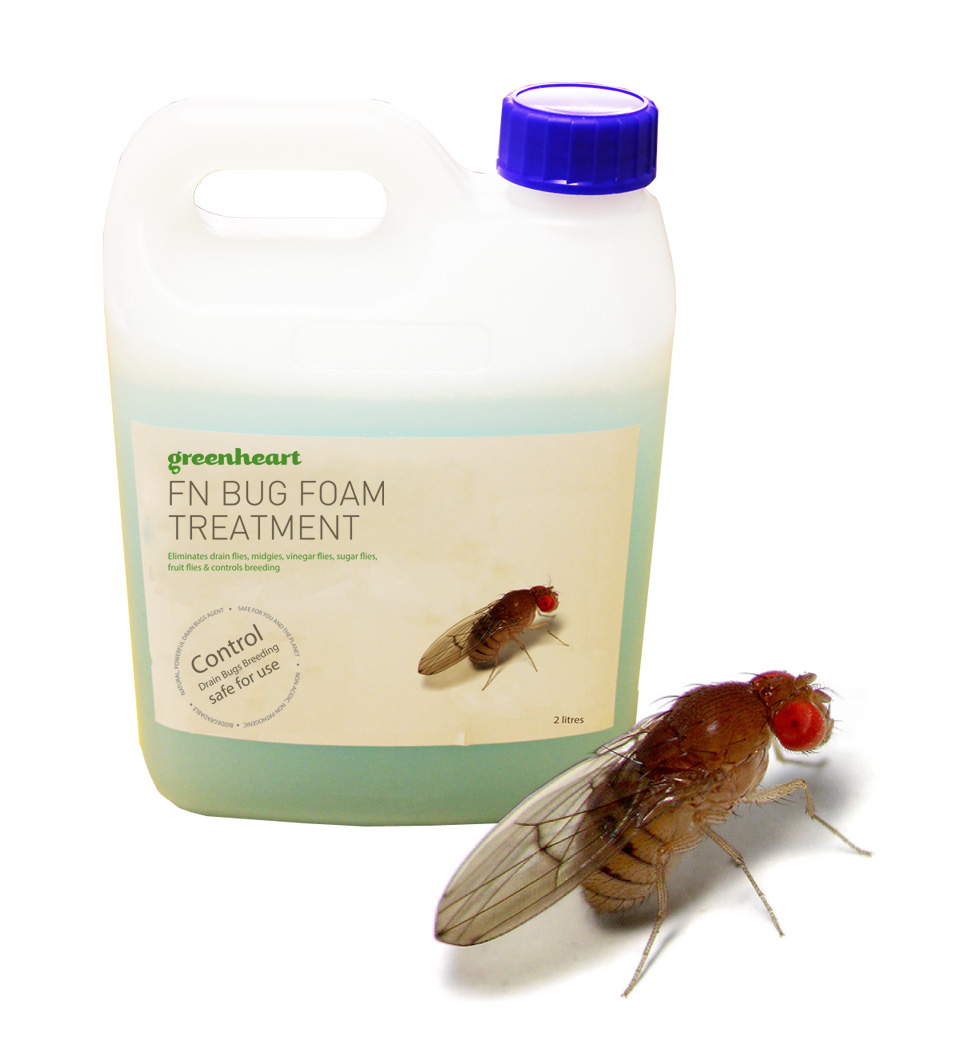Fruit fly treatment