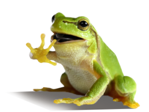 environmentally friendly management