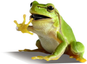 environmentally friendly products