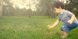 Earth Friendly Hygiene Services