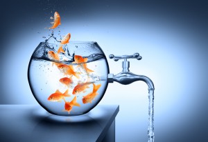 waterless urinal blog image